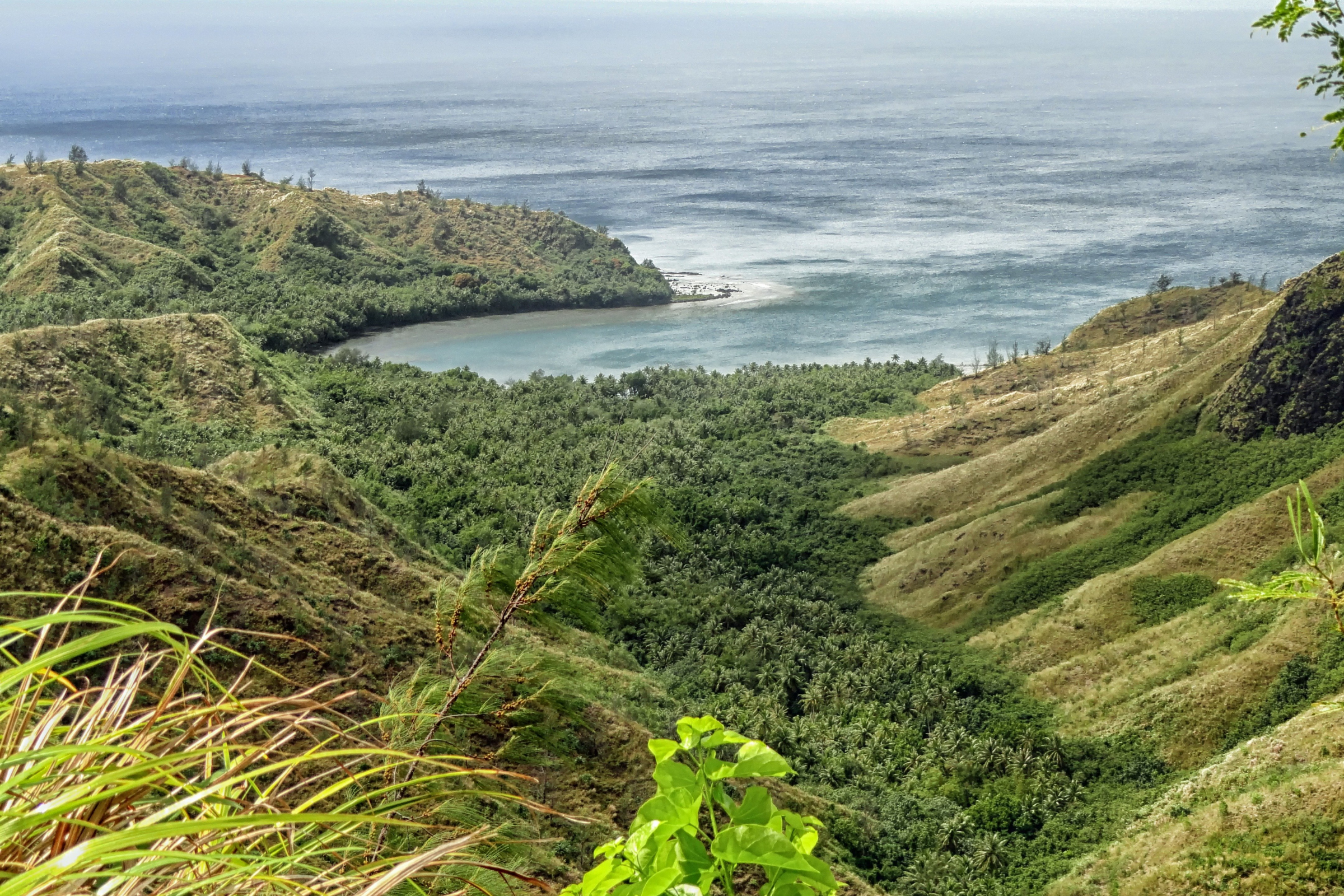 01 guam.webp